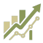CapitalStrategy